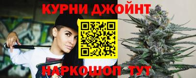 МДПВ Камышлов