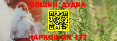 МДПВ Камышлов