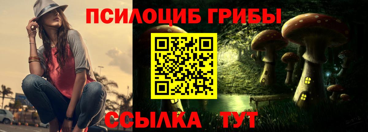 Комсомольск-на-Амуре  Галлюциногенные грибы ЛСД  Вход с VPN  Псилоцибиновые грибы Psilocybine cubensis 