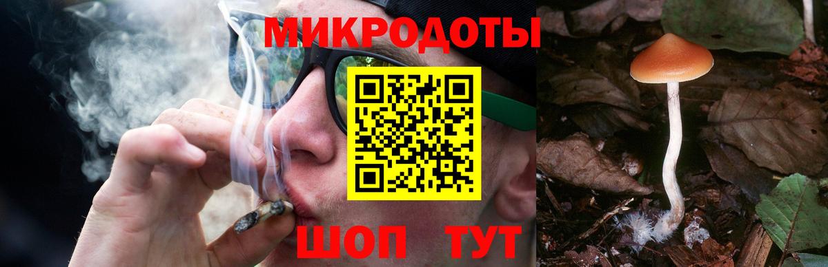 Псилоцибиновые грибы мицелий Комсомольск-на-Амуре